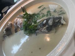 -绿茶餐厅(千岛湖银泰城店)