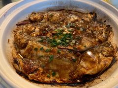 -食家鸽园