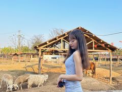-青瓦房古村落