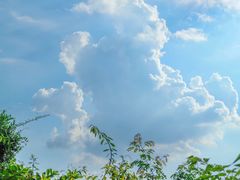 -火炉山森林公园