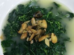 -顺德了能馆(虎门店)