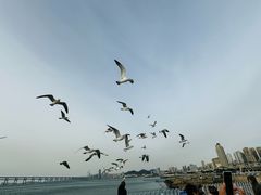 -星海广场