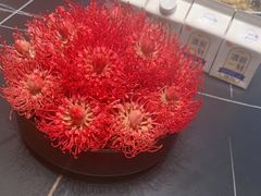 -映像威海·威海宴(威高广场店)