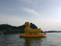 -荣德灶台鱼(圣泉寺店)