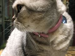 -小时光咖啡馆(开森度假森林店)