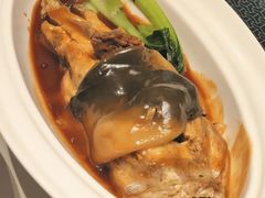 -新光酒家·河豚·海鲜·蟹料理(浦东店)