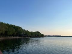 -丁香湖公园