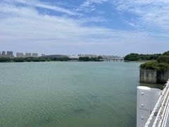 -贡湖湾湿地公园