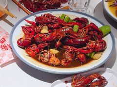 -杨氏青龙虾·羊蝎子(托乐嘉店)