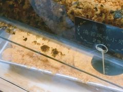 -鲍师傅糕点(春熙路店)