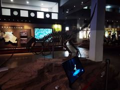 -自贡恐龙博物馆