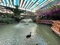 -第五季龙水凤港生态露营农场