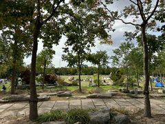 -上海海湾国家森林公园