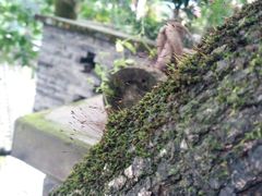 -亦缘居私家别院