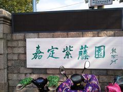 -嘉定紫藤园