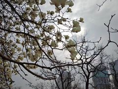 -睦南公园