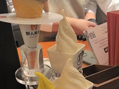 -野人先生Gelato(上海长宁龙之梦店)
