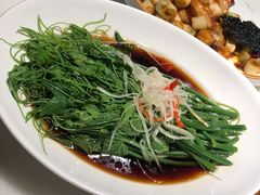 白灼瓜苗-初蓉丨遇见新川菜(亲贤街荣耀店)