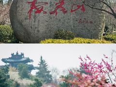 -梅花山(明孝陵内)