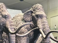 -大庆市博物馆