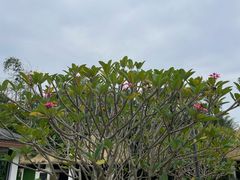 -台山颐和温泉城