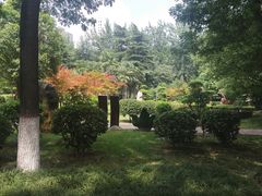 -渭滨公园
