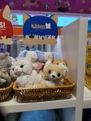 -kidsland(颐堤港店)
