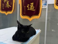 -美美宠物诊疗中心·异宠·骨科(滨江东信分院)