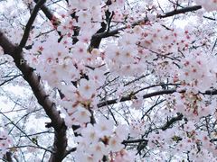 -苏州上方山国家森林公园
