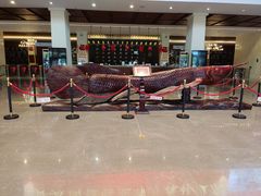 -亚布力新体委滑雪场