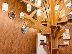 -MOCHA明星猫咖(田子坊店)