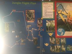 -清迈丛林飞跃 JungleFlight