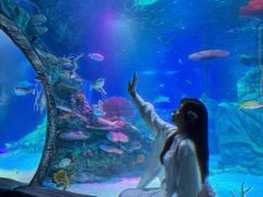 -沈阳海洋探索中心