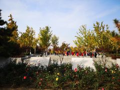 -大兴滨河森林公园