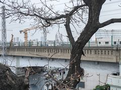-武汉长江大桥