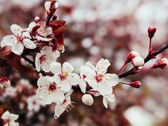 -同济大学(嘉定校区)