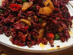 -福苗小骆驼烧烤(太奥广场店)