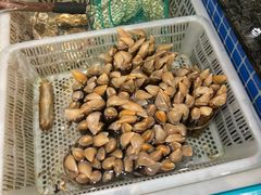 -东海怡品海鲜豆捞(舟宿夜江店)