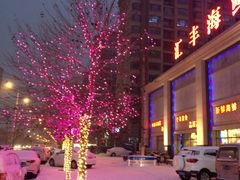 摇钱树-汇丰海鲜(东亚·世纪城文脉苑店)