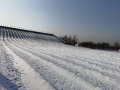 -绿野森林乐园冰雪季