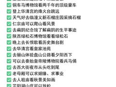 -大雁塔北广场音乐喷泉