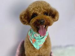 -喵汪宠物生活馆(涞坊路店)