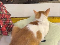 -小半有礼(天河南店)