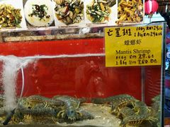 -大树下海鲜饭店