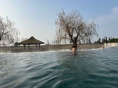 -苏州湾·王焰温泉