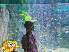 -常州海昌海洋探索馆