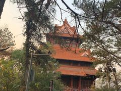 -东湖磨山景区