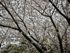 -杨高南路(地铁站)