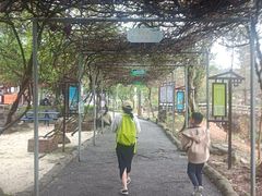 -牛鱼嘴原始生态风景区