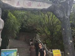 -王顺山国家森林公园